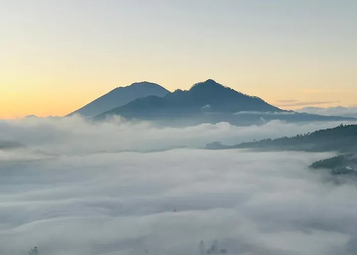 Pinggan Box Glamping Bangli